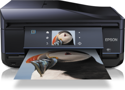 Cartuchos Epson Expression Premium XP-810